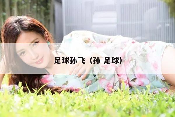 足球孙飞（孙 足球）