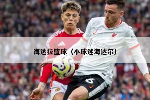 海达拉篮球（小球迷海达尔）