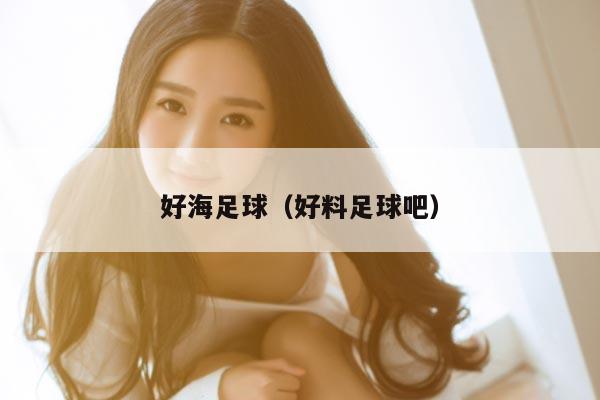 好海足球（好料足球吧）