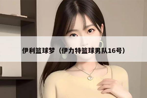 伊利篮球梦（伊力特篮球男队16号）