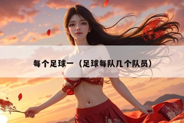 每个足球一（足球每队几个队员）