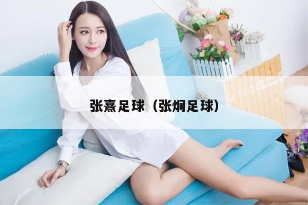 张熹足球（张炯足球）