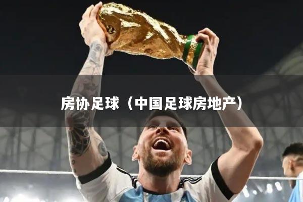 房协足球（中国足球房地产）