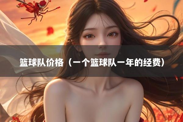 篮球队价格（一个篮球队一年的经费）