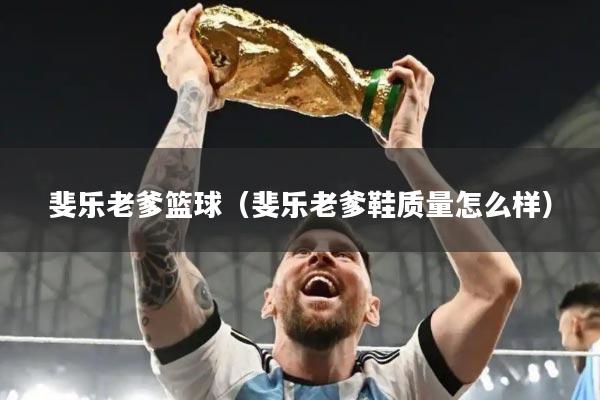 斐乐老爹篮球（斐乐老爹鞋质量怎么样）