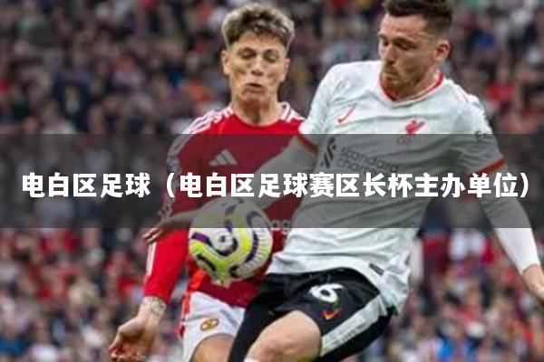 电白区足球（电白区足球赛区长杯主办单位）