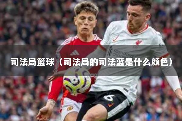 司法局篮球（司法局的司法蓝是什么颜色）