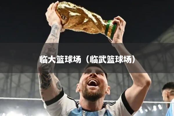 临大篮球场（临武篮球场）