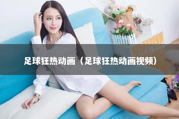 足球狂热动画（足球狂热动画视频）